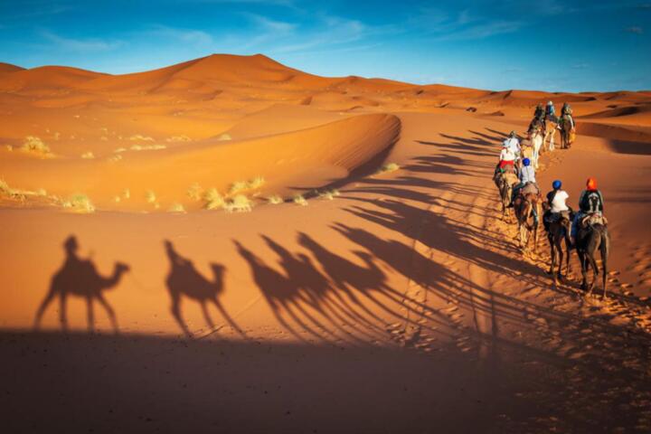 Desert Survival Gear: Must-Have Tools for Sahara Adventures