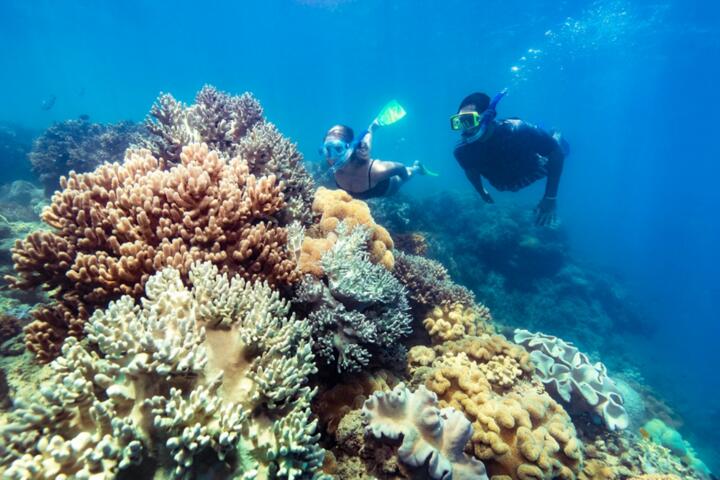 Best Waterproof Camera Housing for Great Barrier Reef Diving